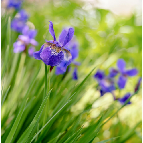 Produto Teste Winsite Compra Produto Teste Winsite Compra